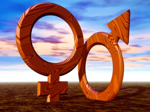 5107 (a): :1024x768